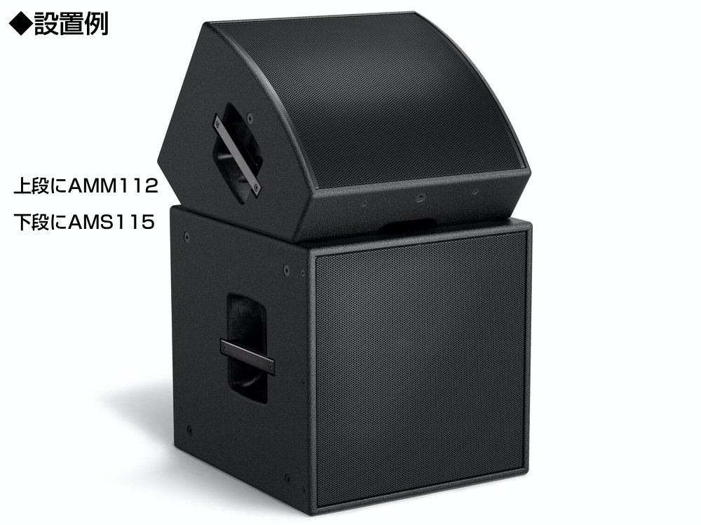 BOSE ボーズ AMS115 (1台) ◇ 15インチ サブウーファー パッシブ 送料